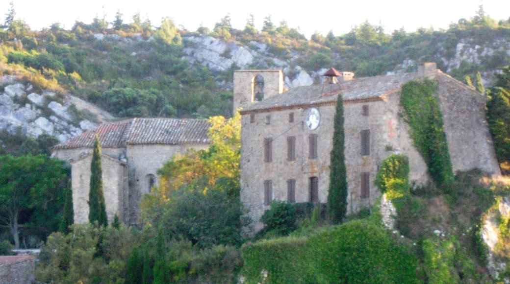 Chateau et Église Sainte-Léocadie à Fontjoncouse