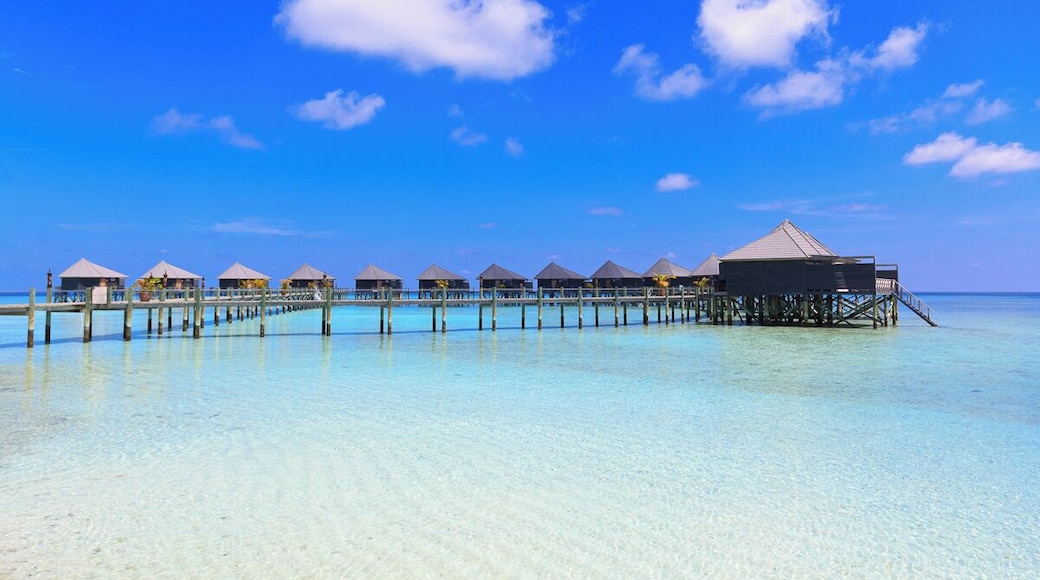 Komandoo Island Resort.
That's the tiny little island we lived and worked for two years.
15 Watervillas have been built over the water.
If you like to read, what we did on a day off on this little gem: http://www.swissnomads.com/2013/08/day-off-komandoo-island-resort-maldives/