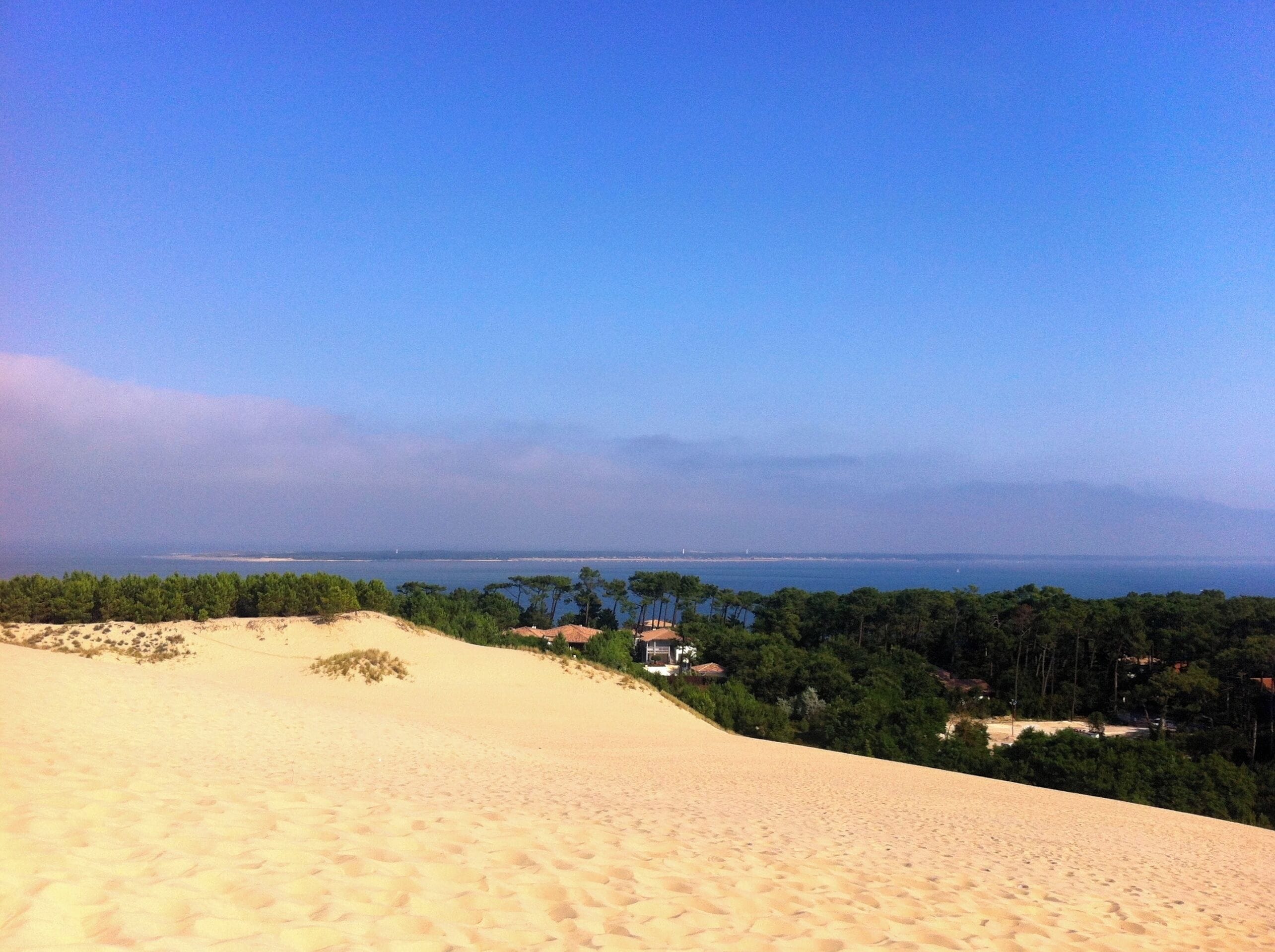 A sandy dune landscape with a view of a coastal area and trees in the background.