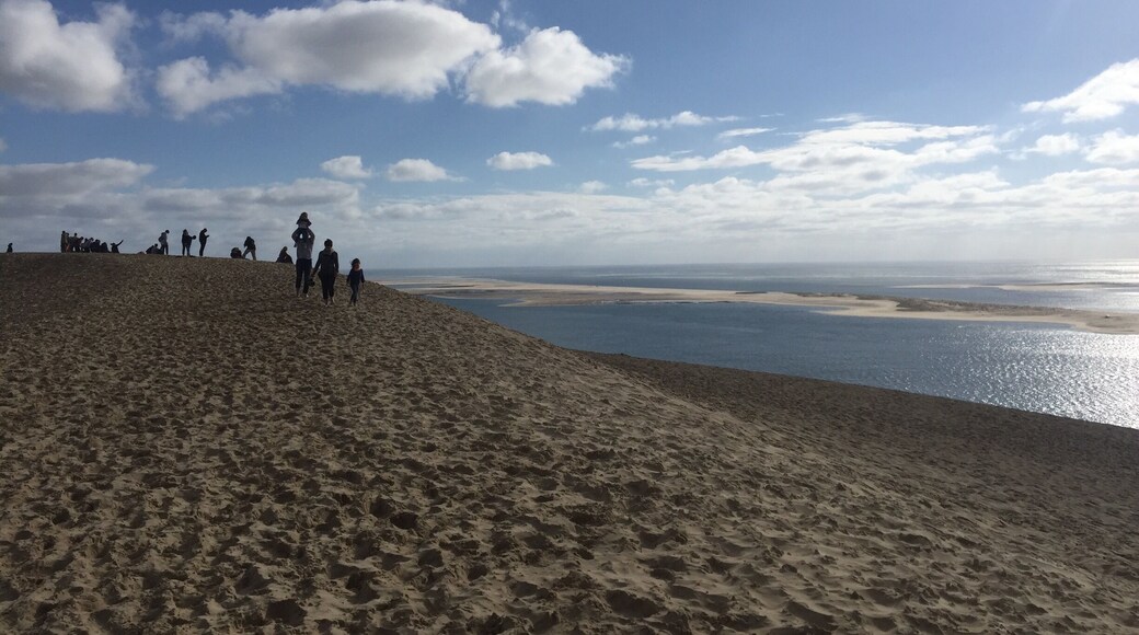 Hiking the dune du Pilat (or Pyla) after a long raining day to discover a beautiful view and the sun who has disappeared all along the day. Question for all the people who has visited the place: stairs or sand?! :)