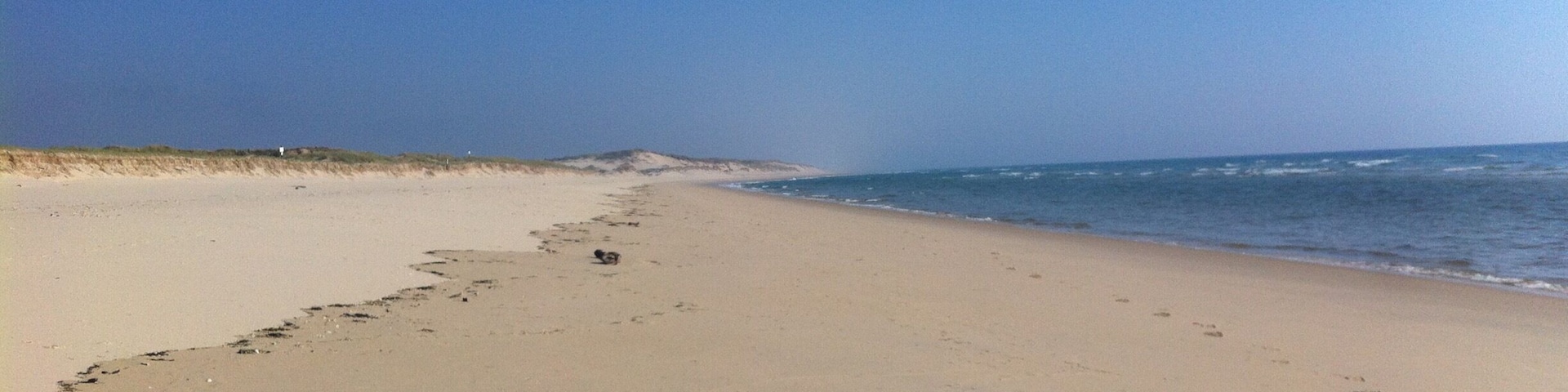 On the beach, down from La Salie