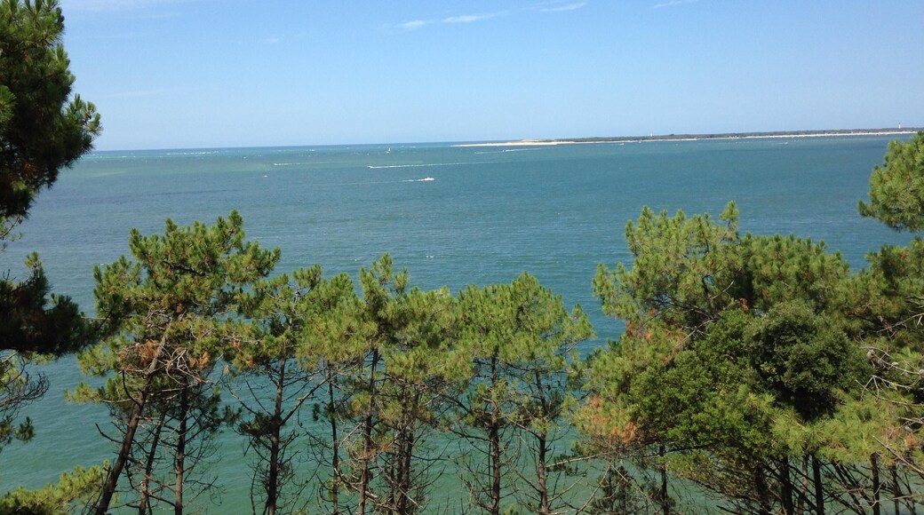 Paysage vue sur le bassin d'Arcachon