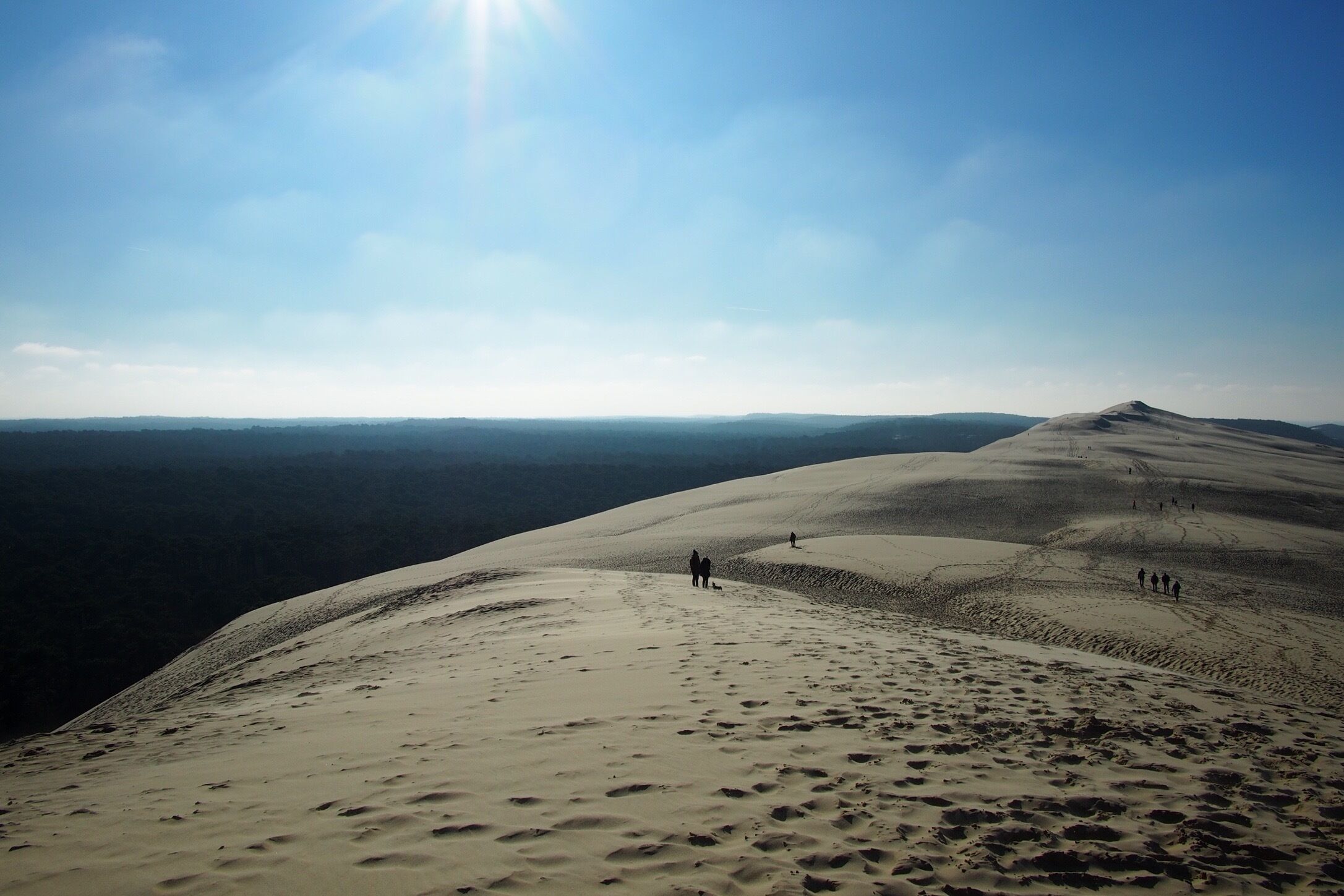 Entre Terre et Mer , la plus grande dune d&#x27;Europe 😍 , on se croirait dans le désert ! Si paisible  