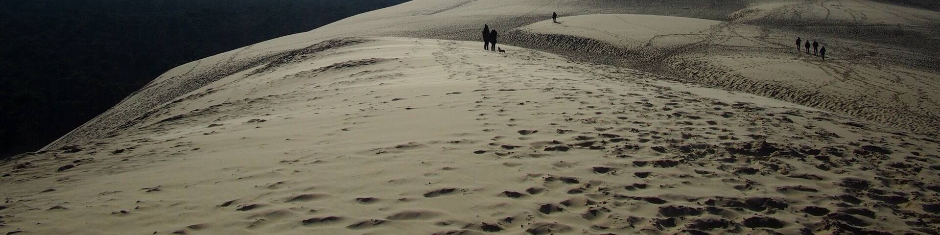 Entre Terre et Mer , la plus grande dune d'Europe đ , on se croirait dans le dĂ©sert ! Si paisible
