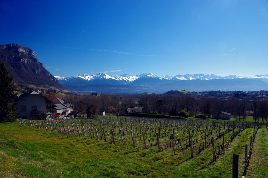 PAYS SAVOYARD