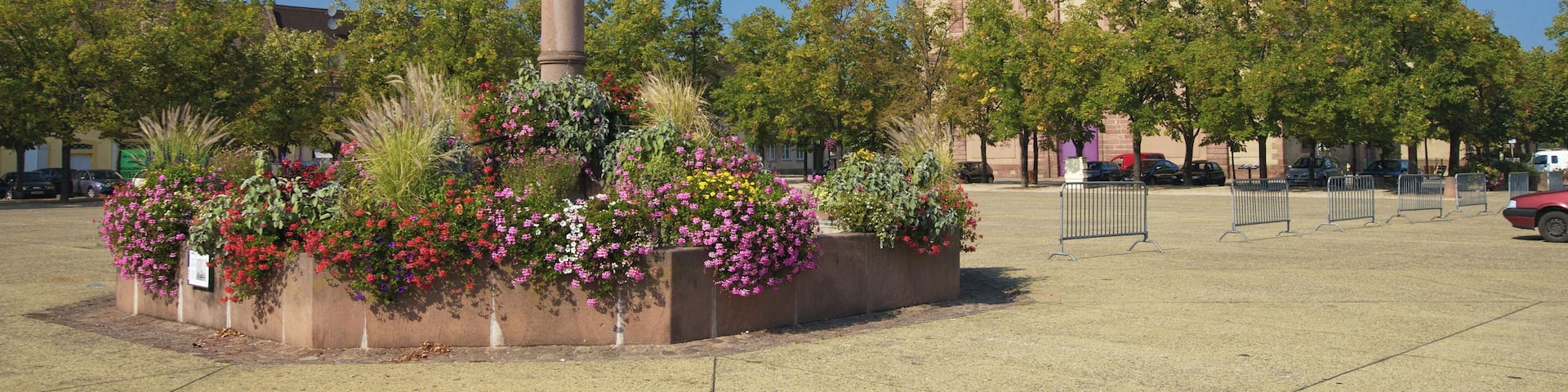 Place d'Armes-Général-de-Gaulle, (Classé, 1939)