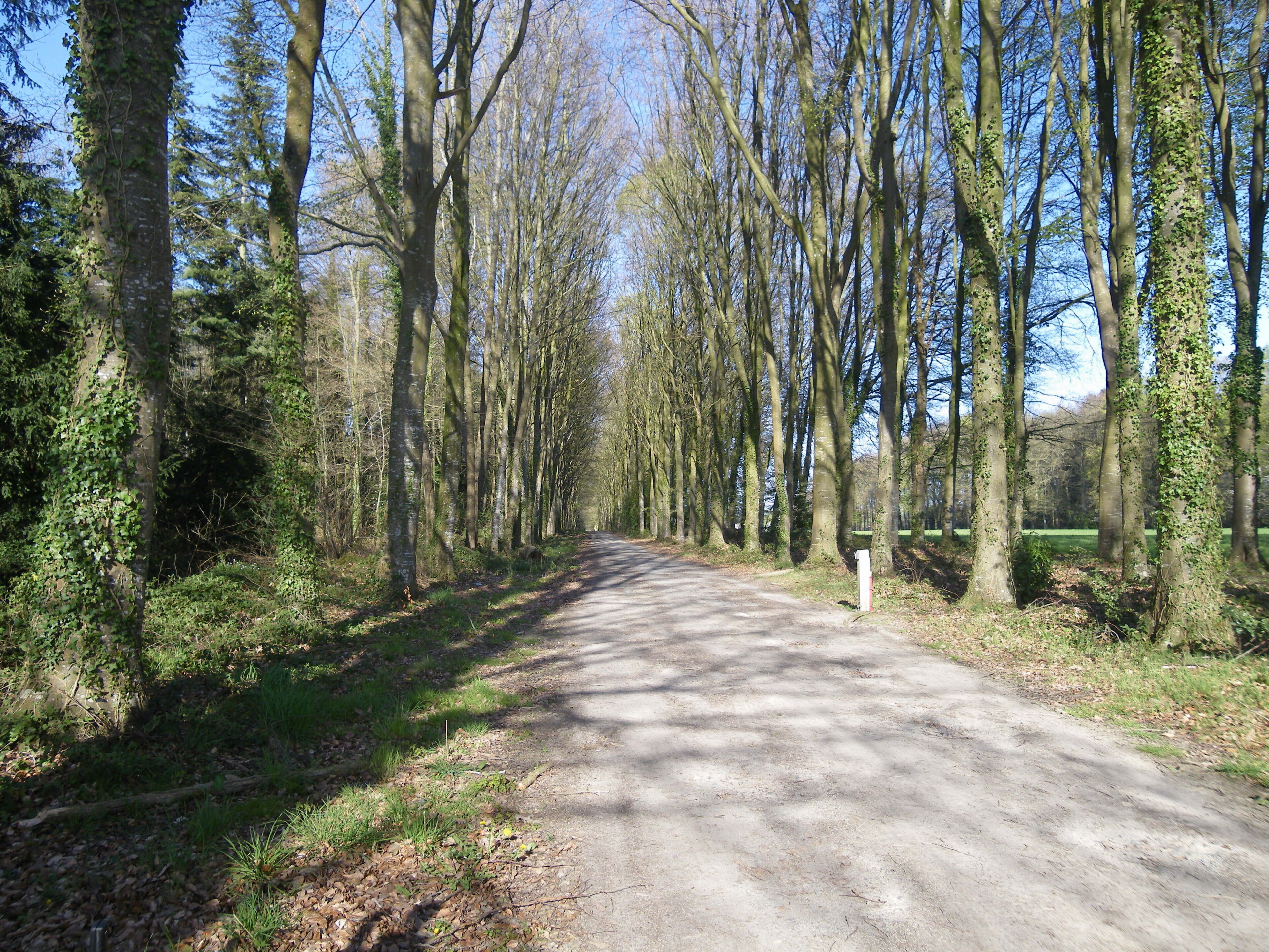 allée du parc de la bourbansais