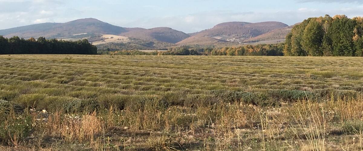 A vast open field with rolling hills in the background.