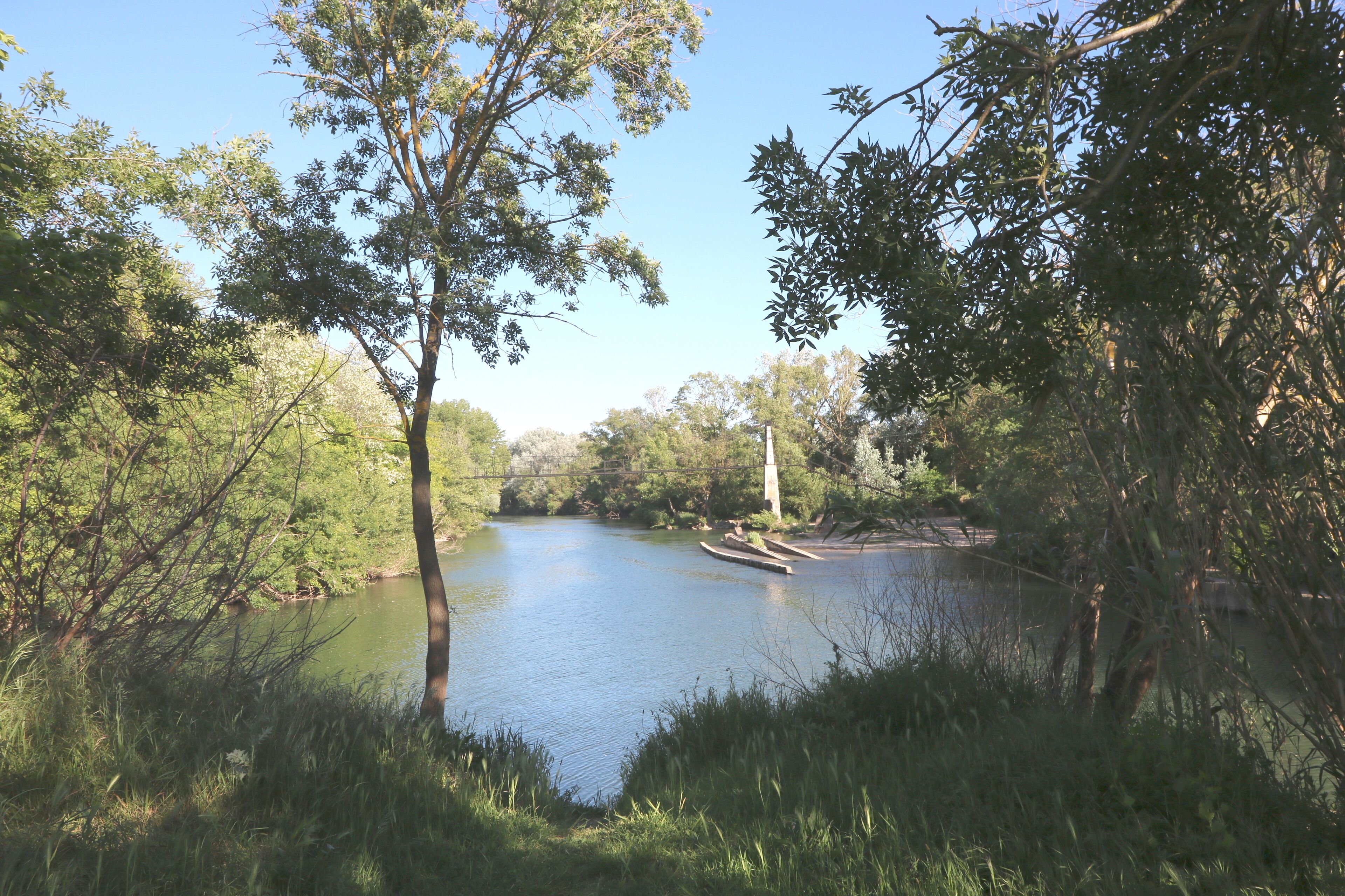 Saint-Thibéry (Hérault) - confluence de l'Hérault (à gauche) et de la Thongue (à droite)