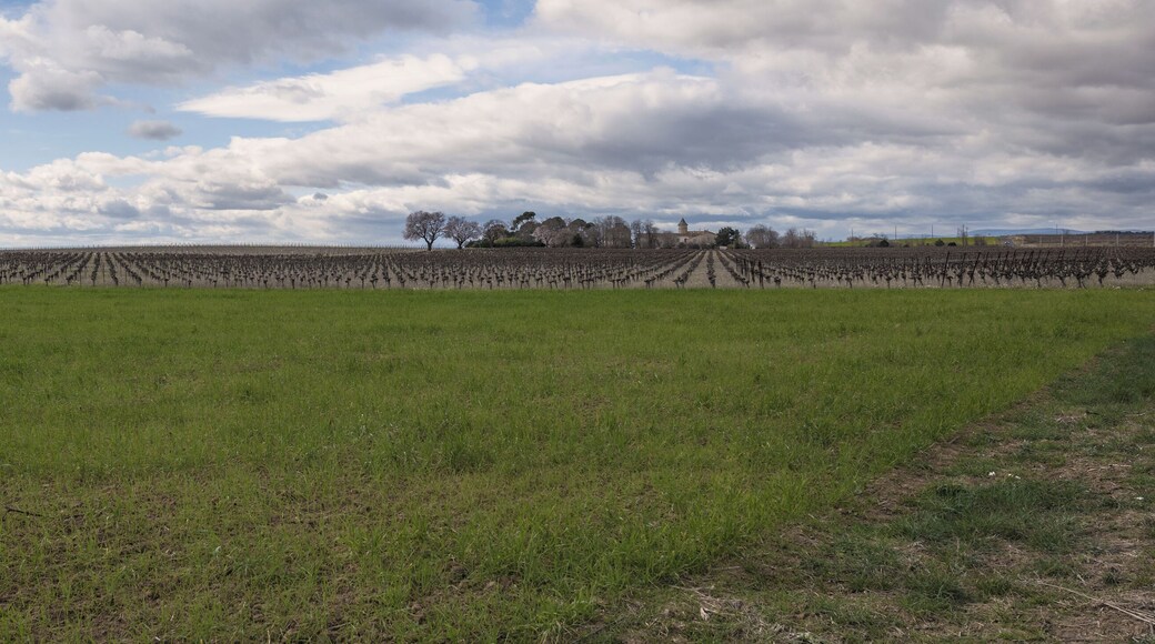 Landscape near Saint-Thibéry, Hérault, France
