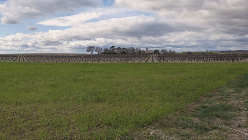 Landscape near Saint-Thibéry, Hérault, France