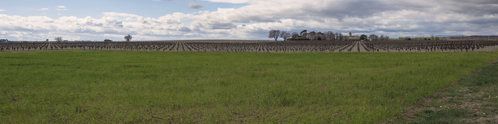 Landscape near Saint-Thibéry, Hérault, France