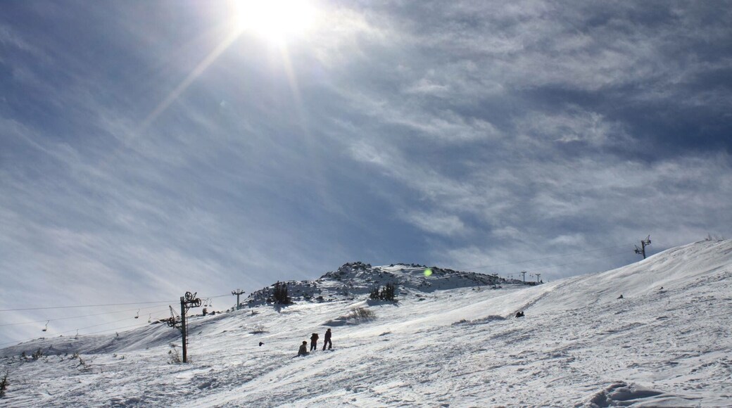On the way to the top of Vitosha mountain.