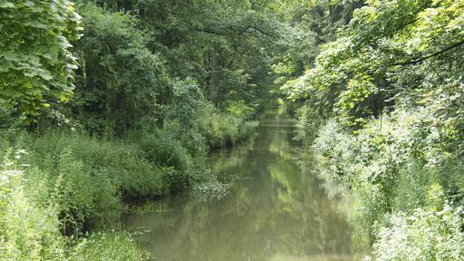 Aller-Fuhsekanal bei Hambühren