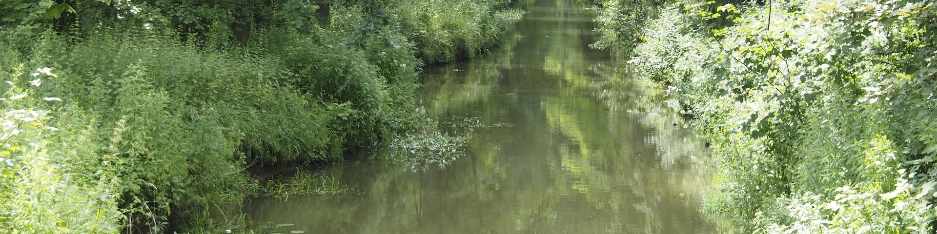 Aller-Fuhsekanal bei Hambühren