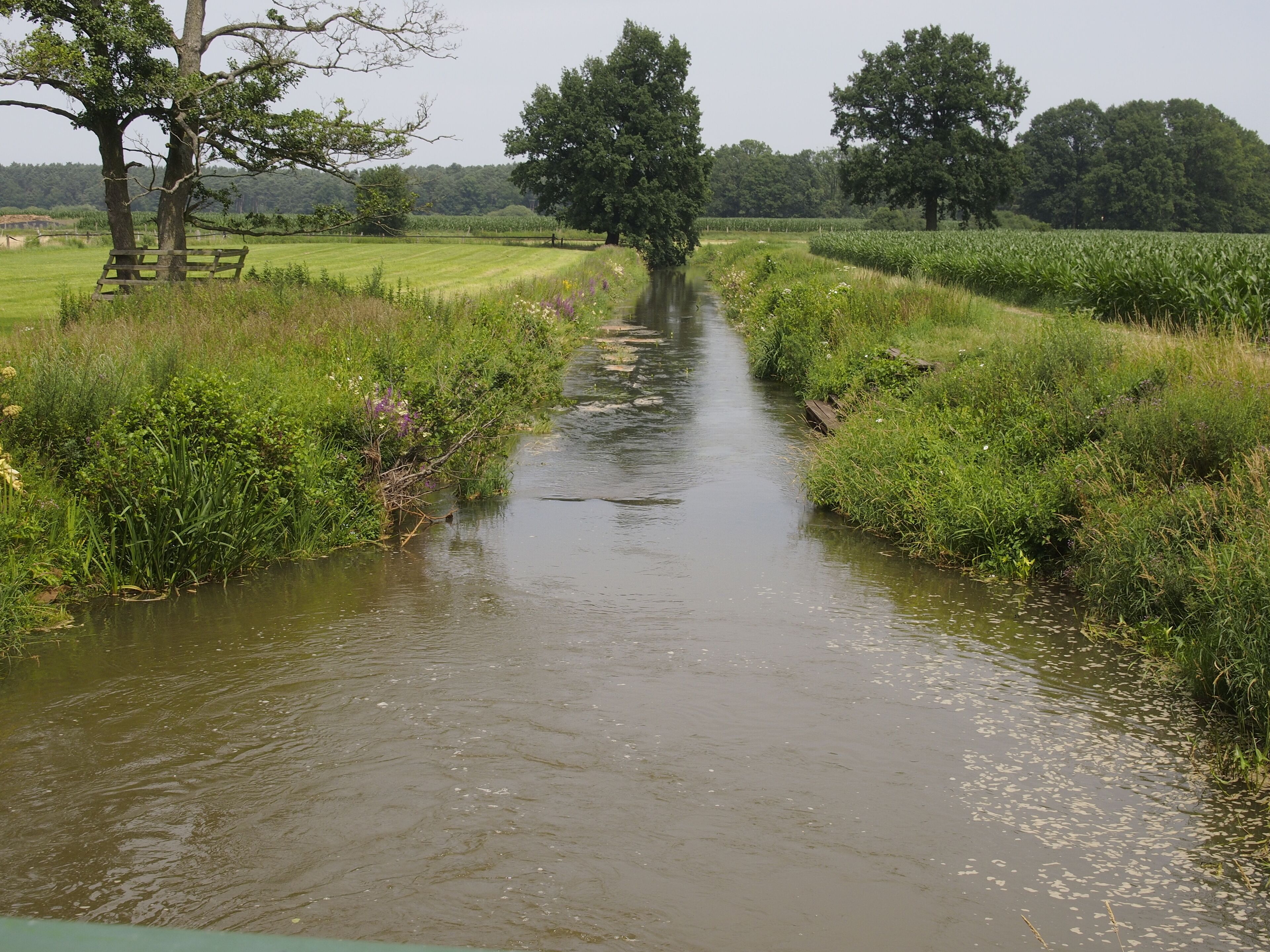 Aller-Fuhsekanal bei Hambühren, kurz vor der Mündung in die Aller