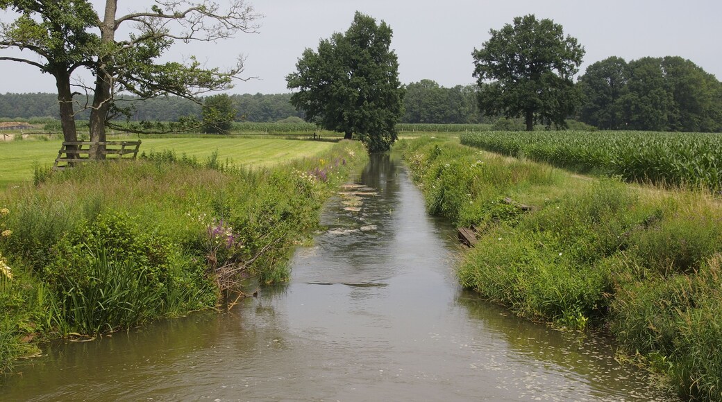 Aller-Fuhsekanal bei Hambühren, kurz vor der Mündung in die Aller