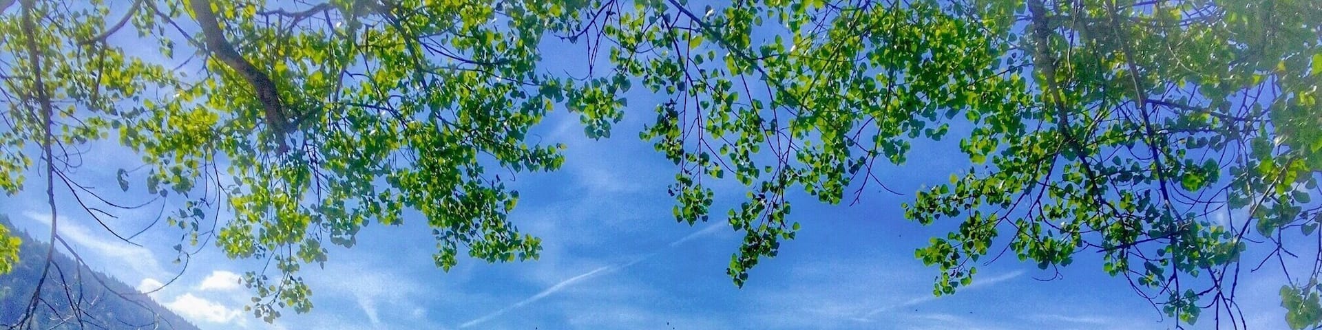 Lake Pillersee near St.Ulrich am Pillersee,Tyrol,Austria
