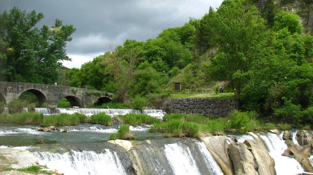 0_a0c335a5-3760-41c1-be12-925b5b981d16_raw