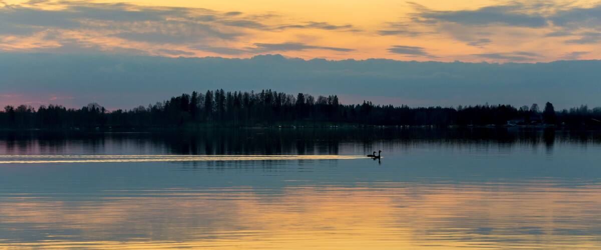 A calm lake at sunset with a silhouette of a person rowing a boat.