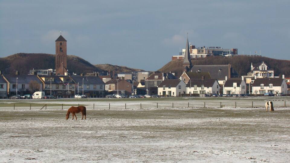 A coastal town with a prominent church tower, a hotel, and a horse grazing in a snowy field.