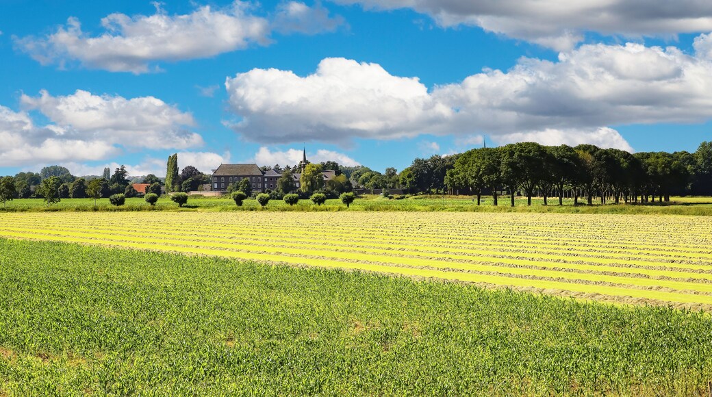 Beautiful wide river Maas landscape with fields in summer along cycle path - Noord-Brabant between Ravenstein and Grave (focus on lower third)