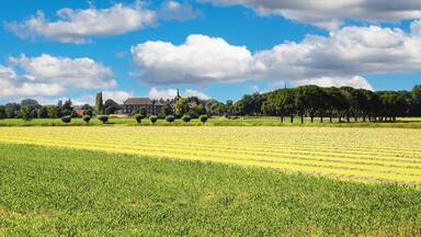 A large green field, a building, and a church.