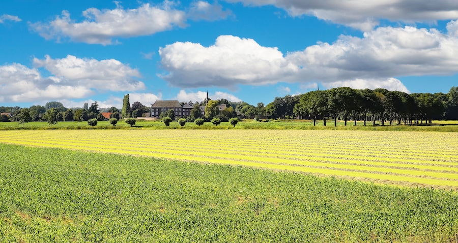 Beautiful wide river Maas landscape with fields in summer along cycle path - Noord-Brabant between Ravenstein and Grave (focus on lower third)