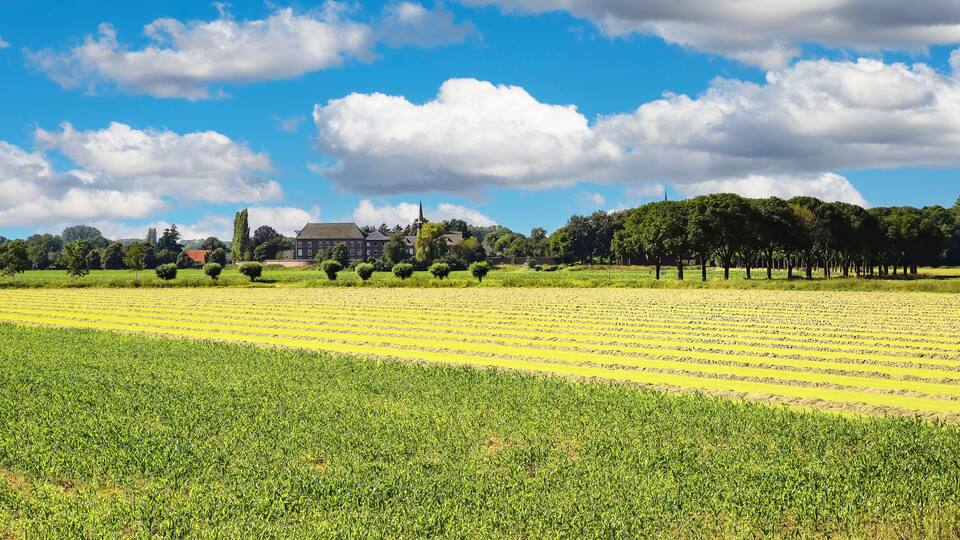 A large green field, a building, and a church.