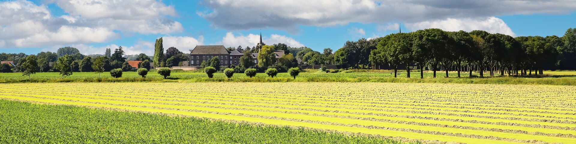 Beautiful wide river Maas landscape with fields in summer along cycle path - Noord-Brabant between Ravenstein and Grave (focus on lower third)