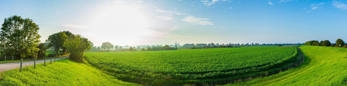 Land van Cuijk, agricultural landscape at the small village Cuijk and the Meuse river, the Netherlands