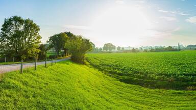 Land van Cuijk, agricultural landscape at the small village Cuijk and the Meuse river, the Netherlands