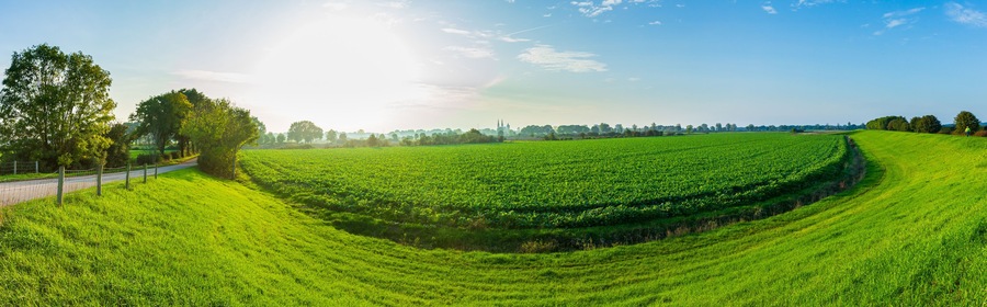 Land van Cuijk, agricultural landscape at the small village Cuijk and the Meuse river, the Netherlands