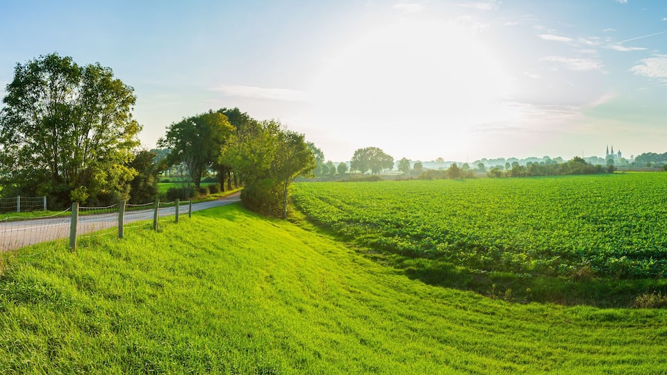 A lush green field with a fence on the left, a road, and a person walking in the distance.