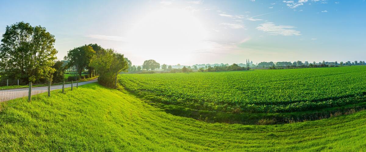 A lush green field with a fence on the left, a road, and a person walking in the distance.