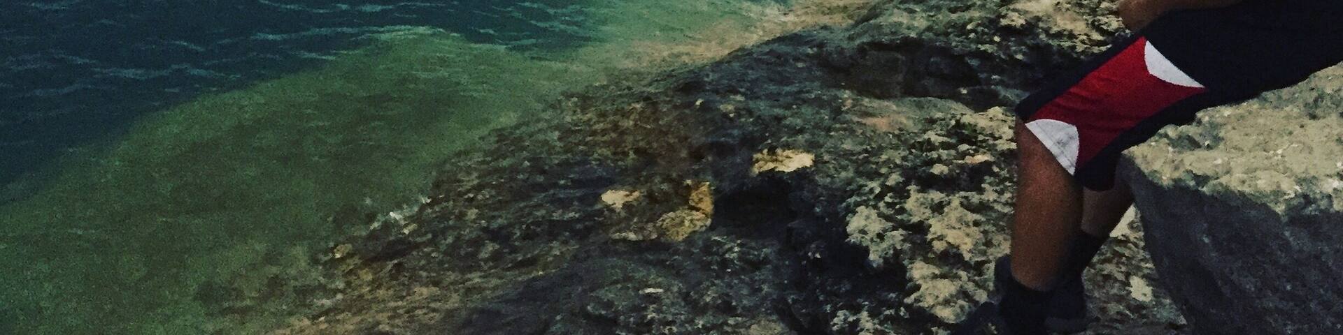 A person standing on a rocky shoreline overlooking a calm body of water with a distant landmass.