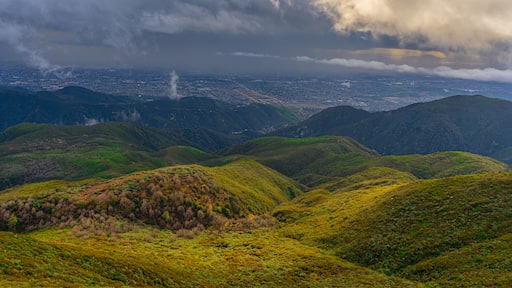 Skyforest San Bernardino CA
