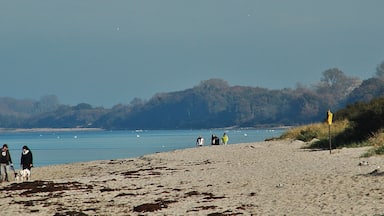 Strand (Strandzugang 1) in Mecklenburg-Vorpommern in der Nähe vom Priwall
