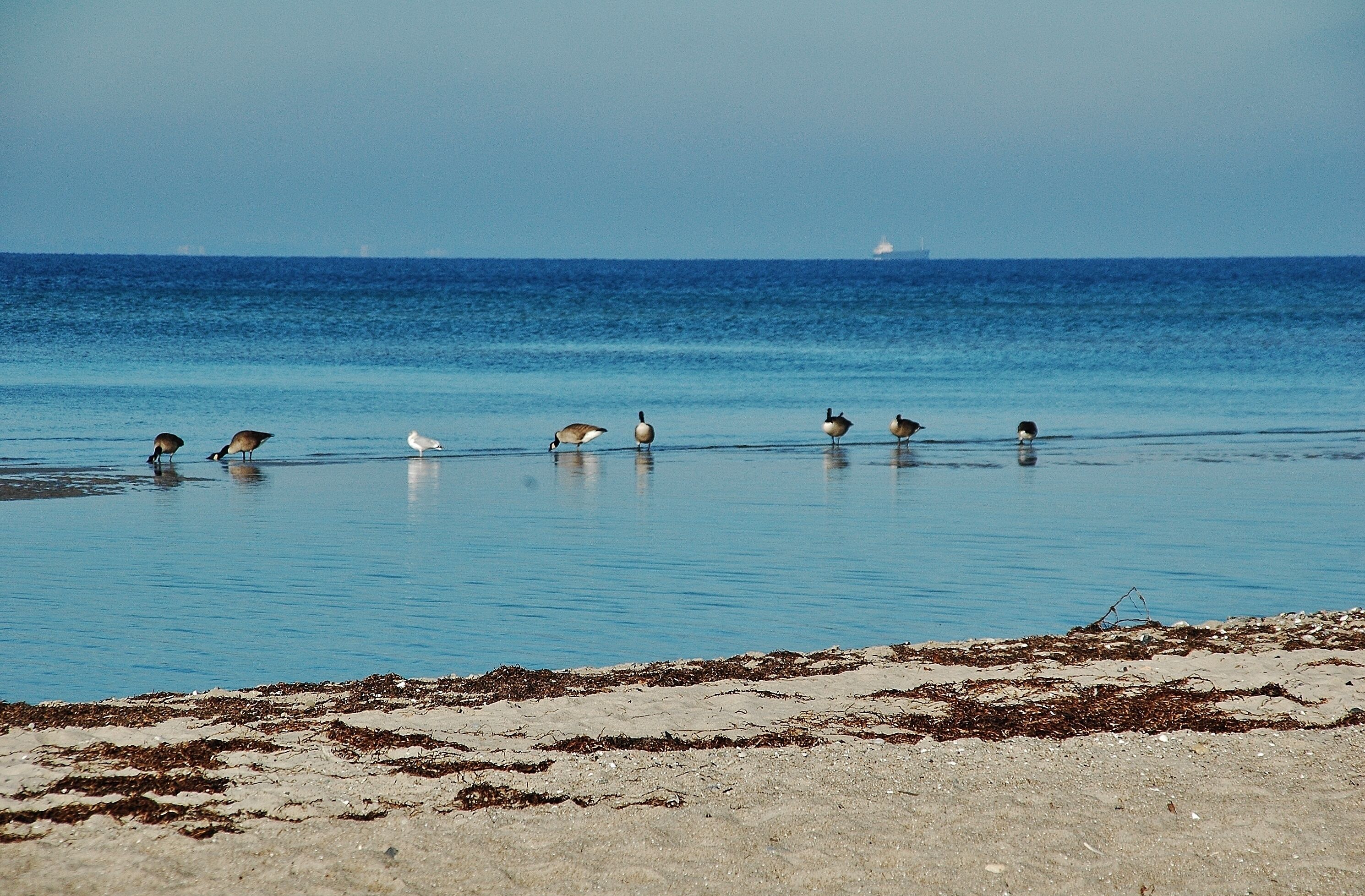 Ostseestrand bei Kalkhorst