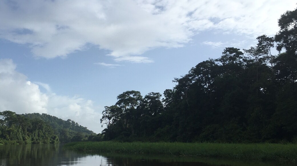 Los canales de Tortuguero