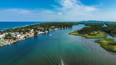 Village of Tortuguero. Caribbean sea on the one side, village inside the jungle in the middle, and huge river on the otjer side. Amazing place full of wildlife in Costa Rica