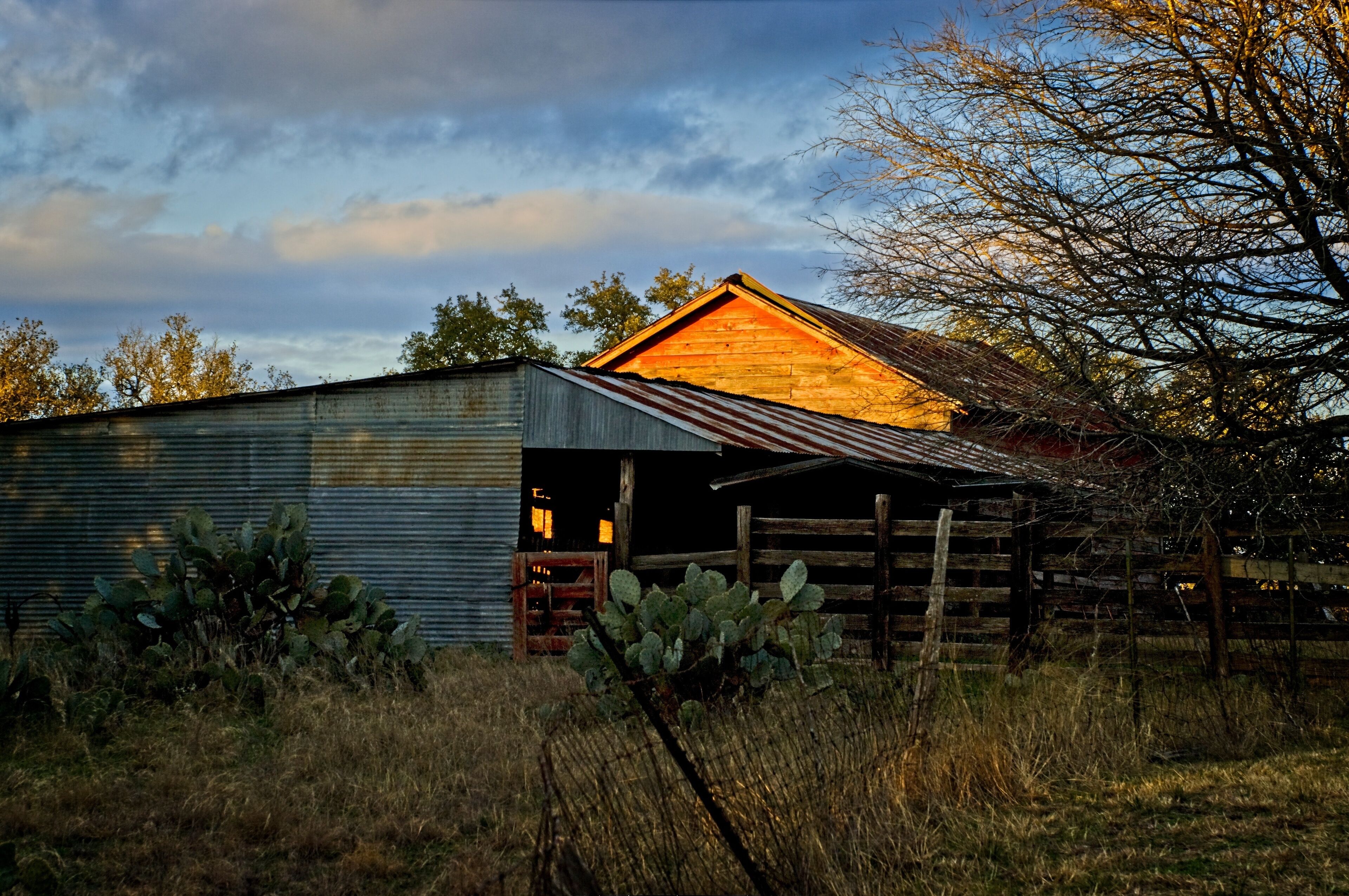 Rustic Texas barn and fenced yard at sunset.
