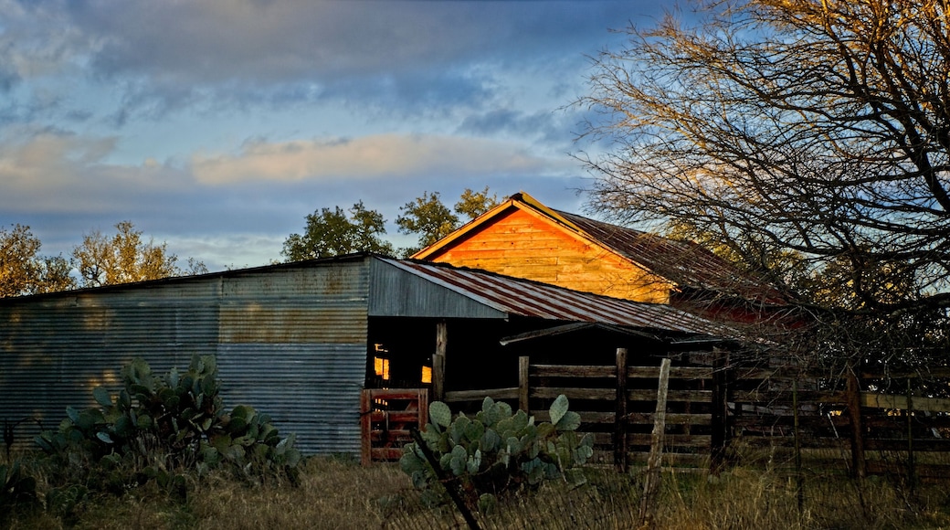 Rustic Texas barn and fenced yard at sunset.