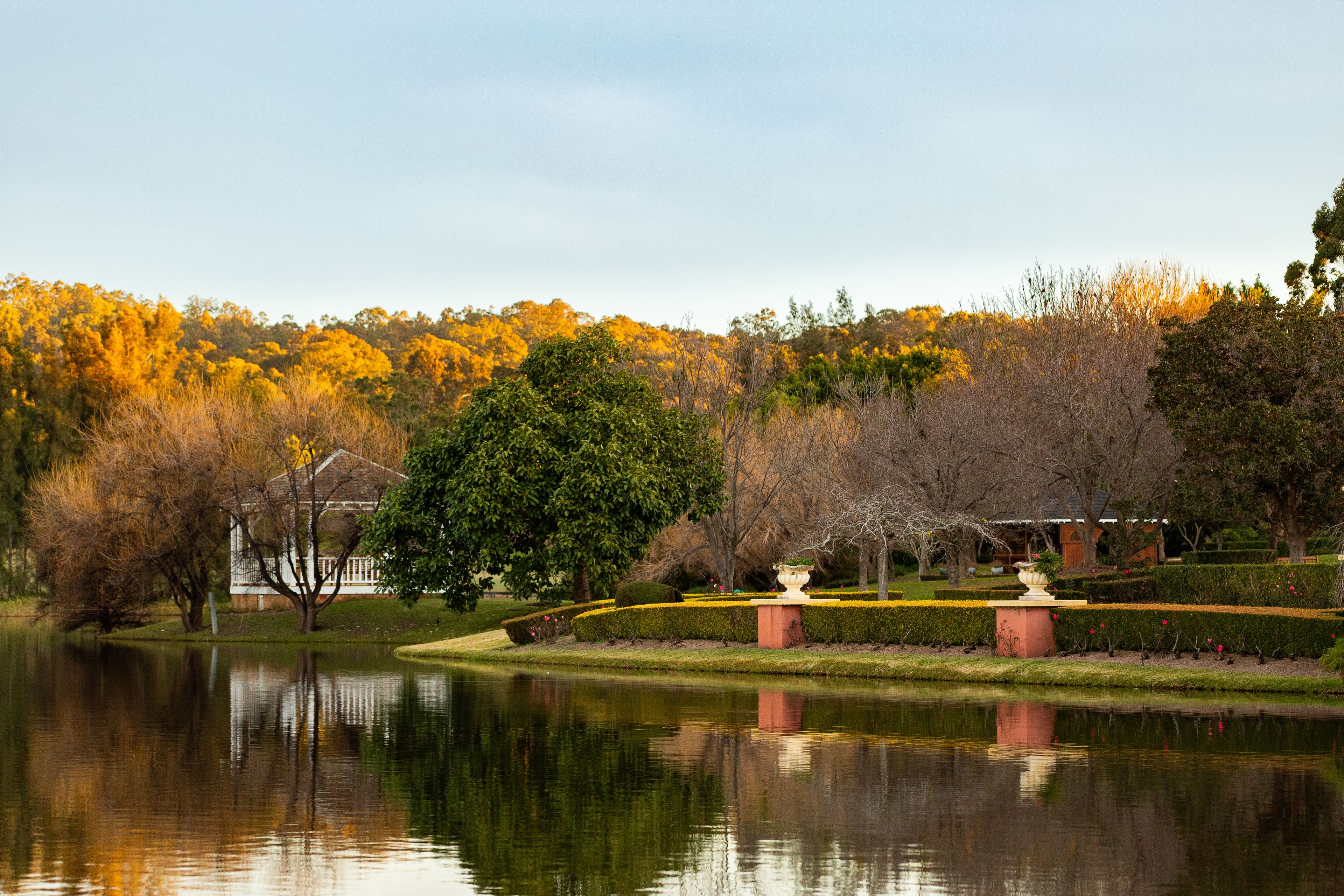 Lake outside Hunter Valley gardens in sunset light