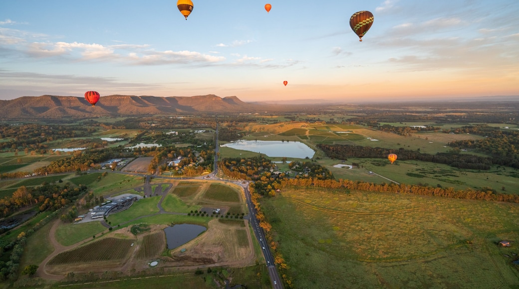 Hot air balloons in Pokolbin wine region, aerial landscape at sunrise, Pokolbin, Hunter Valley, NSW, Australia