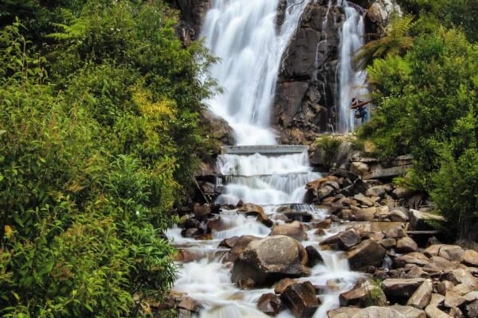 Una cascata che si getta su rocce in una rigogliosa foresta verde.