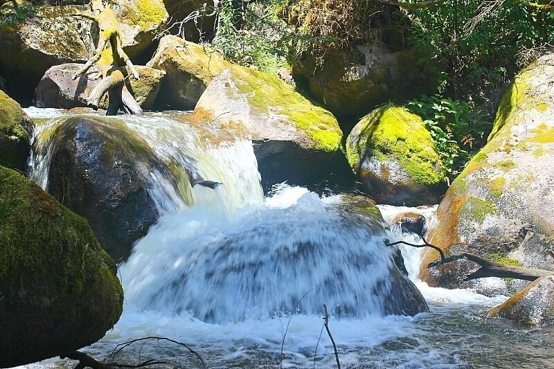 Pack a picnic lunch and take a drive along the stunning Lady Talbot Drive to Taggerty Cascades. Taggerty Cascades is a beautiful short walk (approx 15-20 minutes) through the forest with fabulous waterfalls and photography opportunities along the way. Lyrebirds frequent the area.

The falls is not clearly signposted with a map