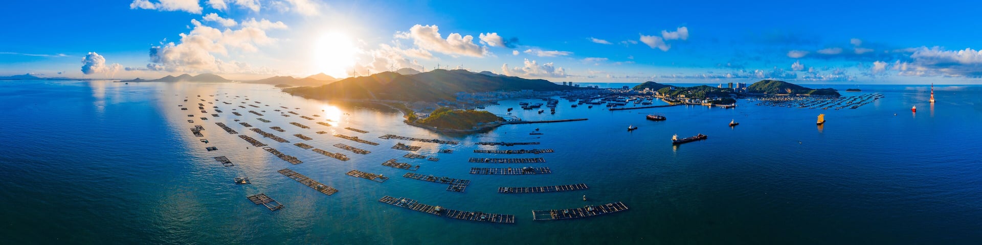 An aerial view of a coastal area with numerous floating docks and boats, a distant city skyline, and a clear blue sky with scattered clouds.