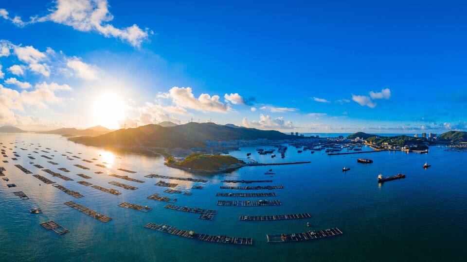 An aerial view of a coastal area with numerous floating docks and boats, a distant city skyline, and a clear blue sky with scattered clouds.