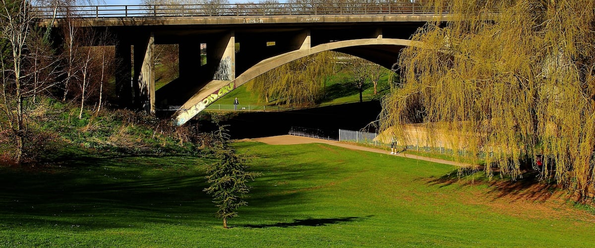 A bridge over a green field with trees and a small tree in the foreground.